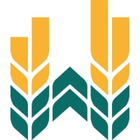 Wichita Foundation